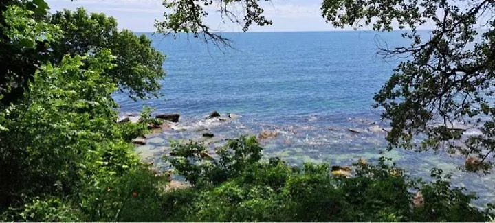 Garden Appartment Fichoza 3 - 80M From The Sea Varna 0*,  Bulgaria